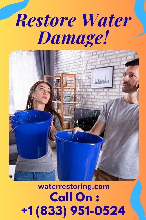 water restoration Patriot Water Removal Group Temperanceville